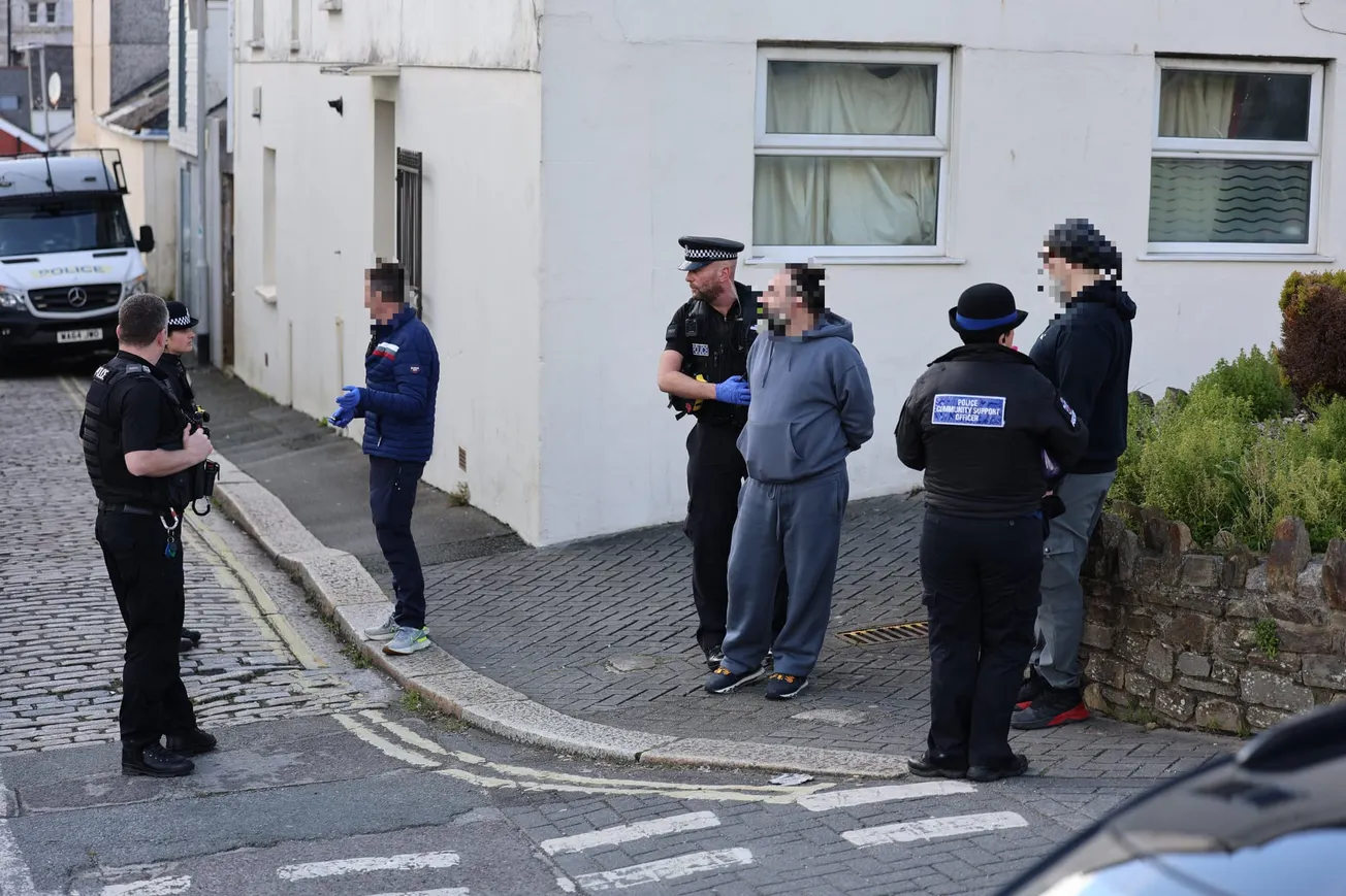 Man arrested after cannabis farm discovered in Plymouth