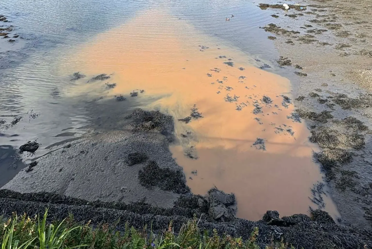 Urgent warning issued after ‘sewage discharge’ seen entering Hooe Lake