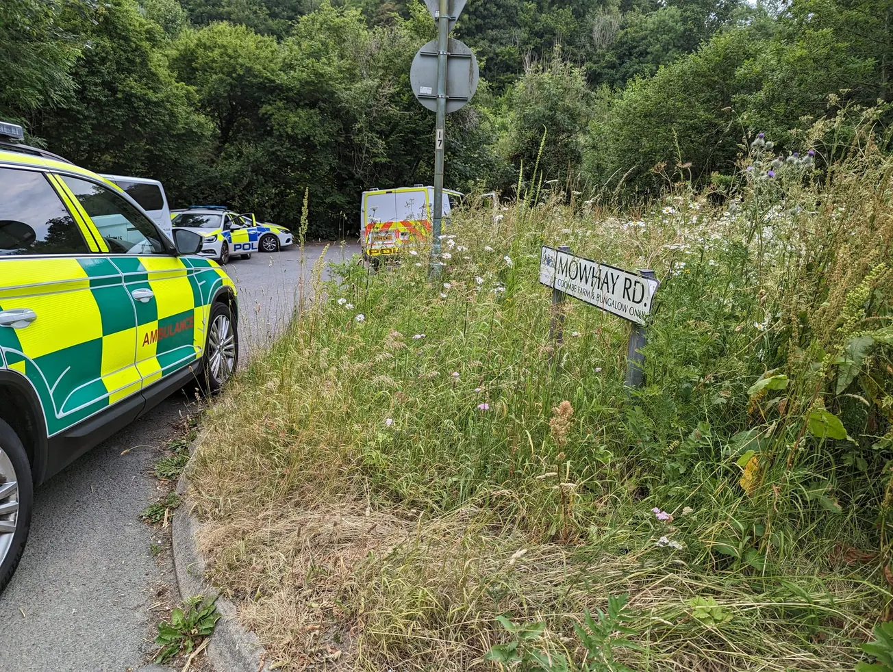 Man in his 30s found dead in Plymouth woodland