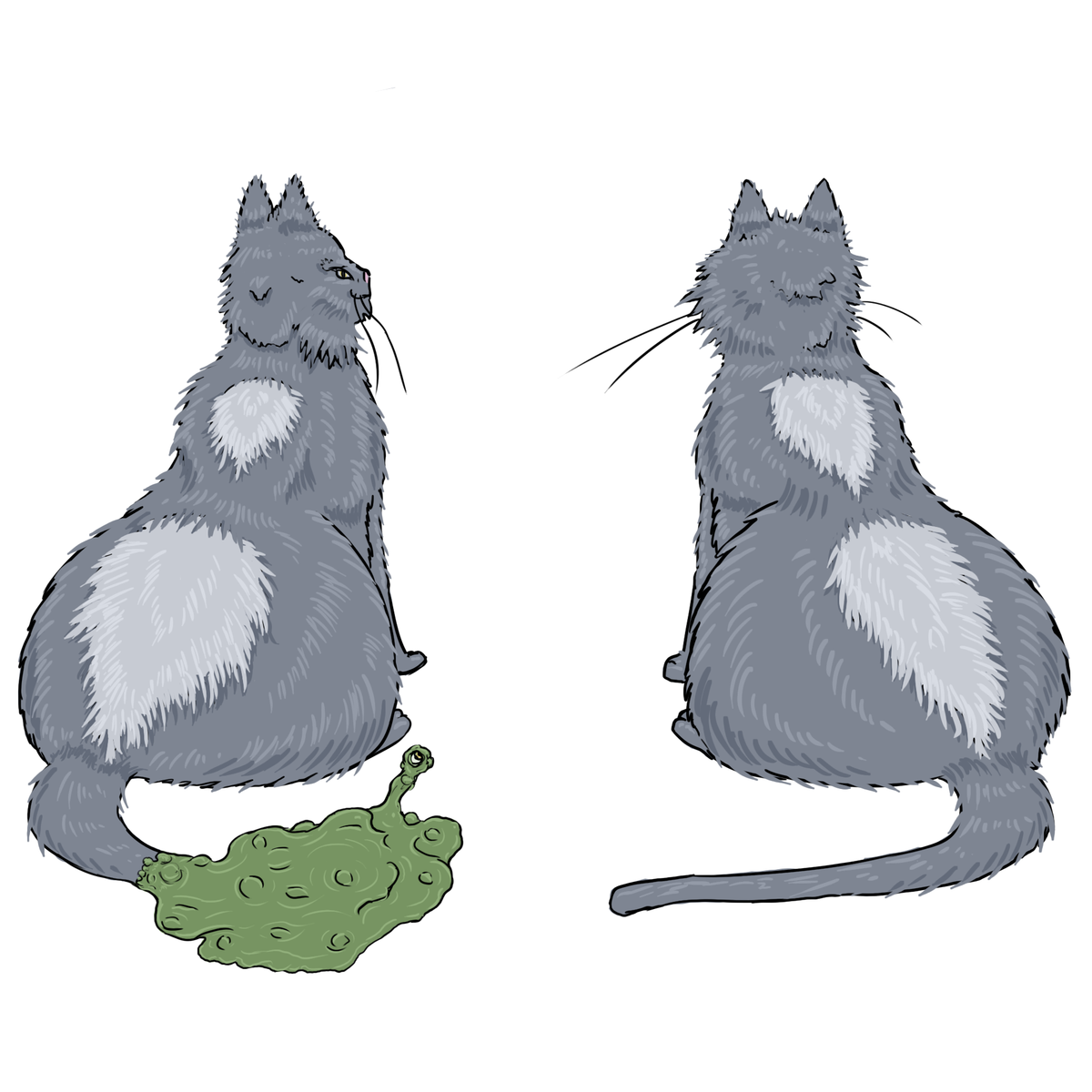 Copy Cat / Copy-Cats