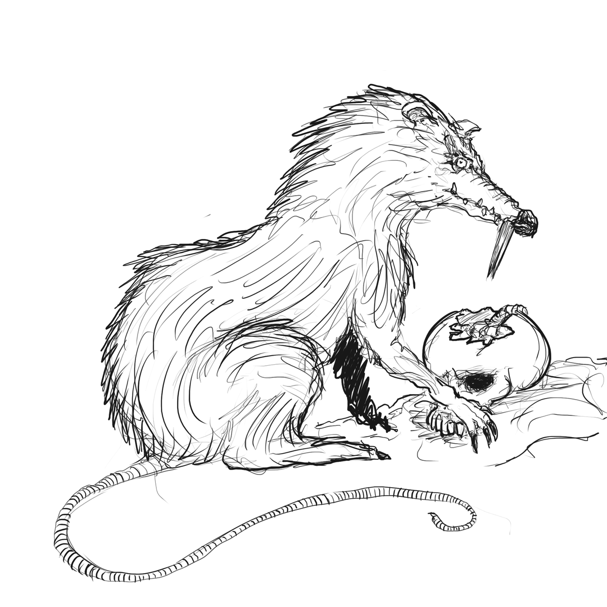 Rat / Rats (Giant)