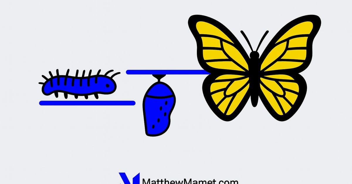 Agile Transformation Roadmap: What Actually Changes and What Doesn't