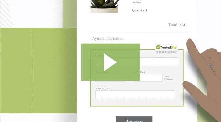 Introducing trust beyond security with TrustedSite certification