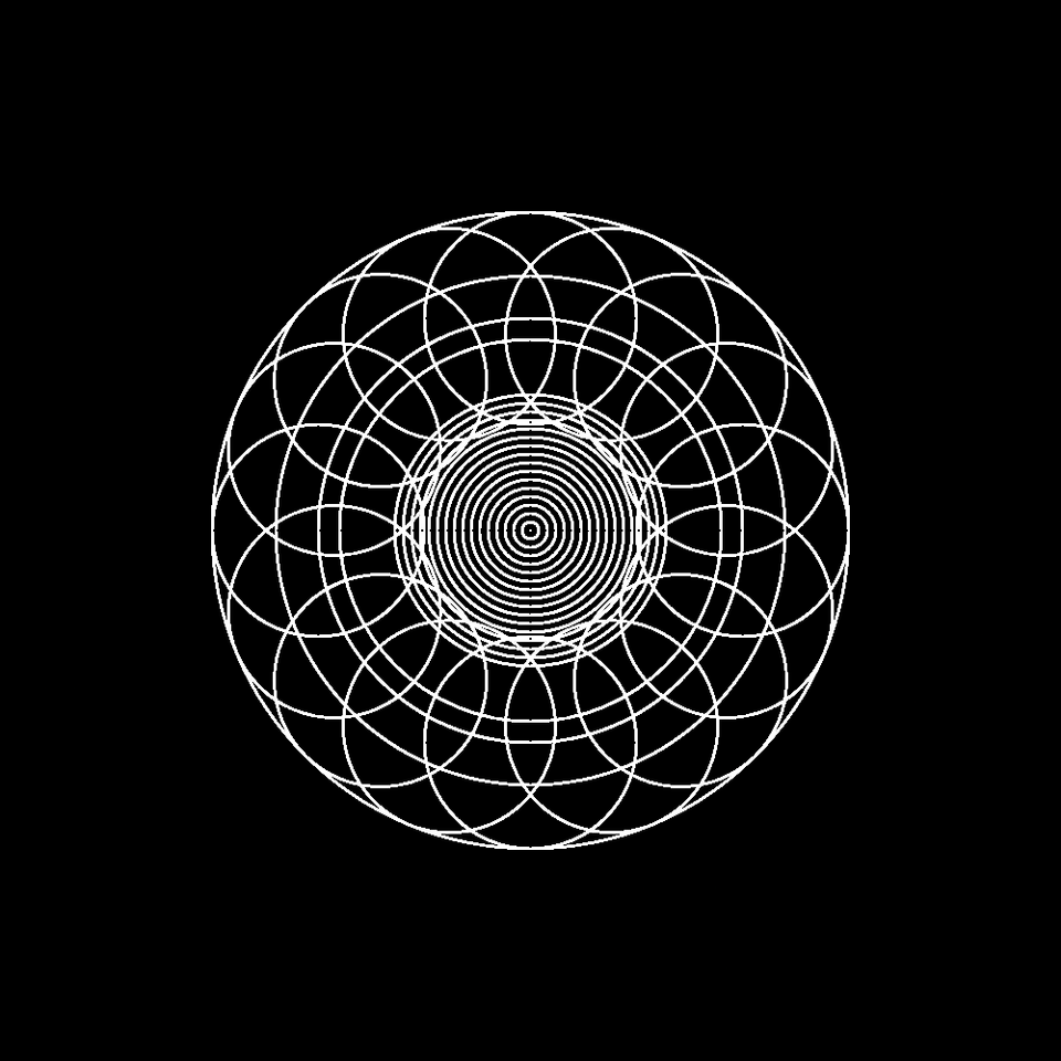 Sixteen white circles equidistant circles form a pattern within and around other concentric circles on a black background.