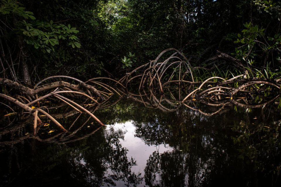 danger: a potentially really corny river