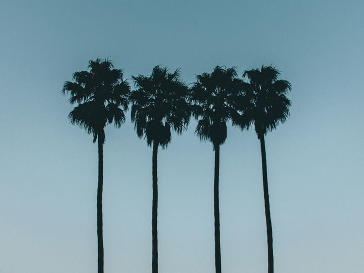 4 percent high and rising