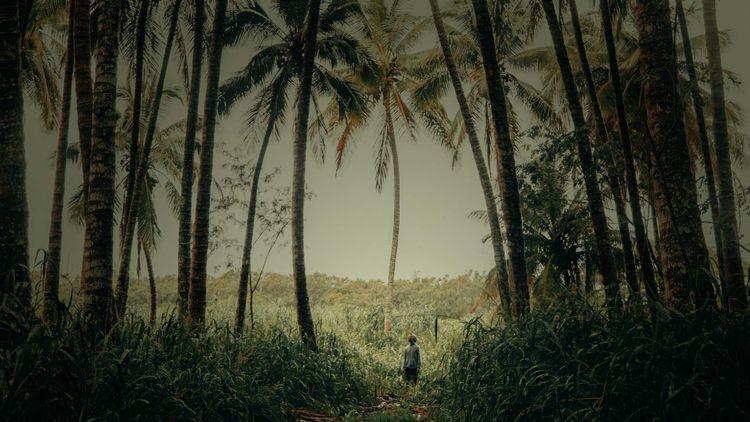 ‘Nowhere to run’