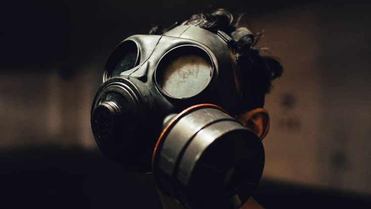 ‘They’re everywhere’