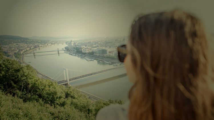 The banks of the Danube