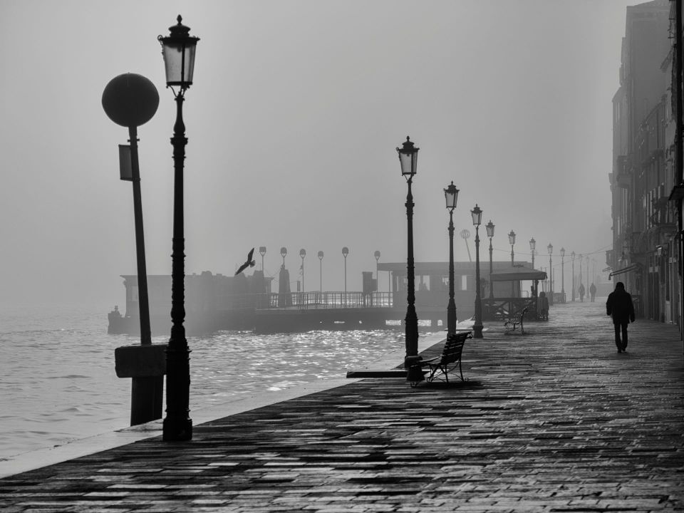 Shadows and fog