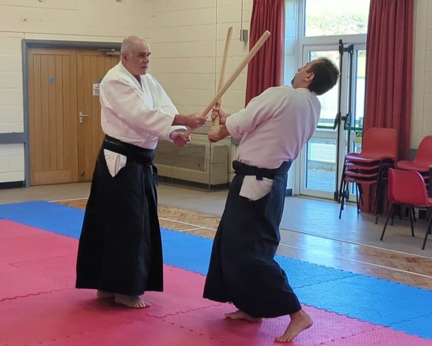 Aiki-do or Aiki ?