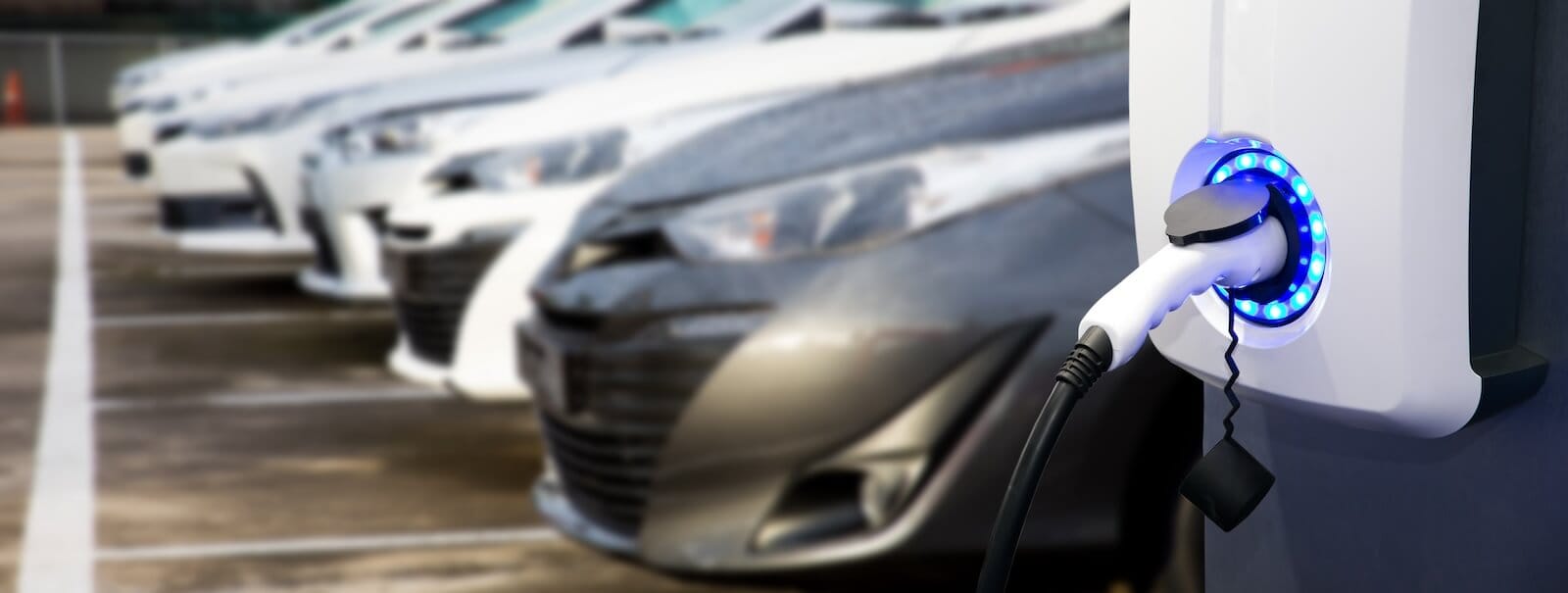 Visionary Leadership and Strong Fundamentals as Drivers of a Winning Stock