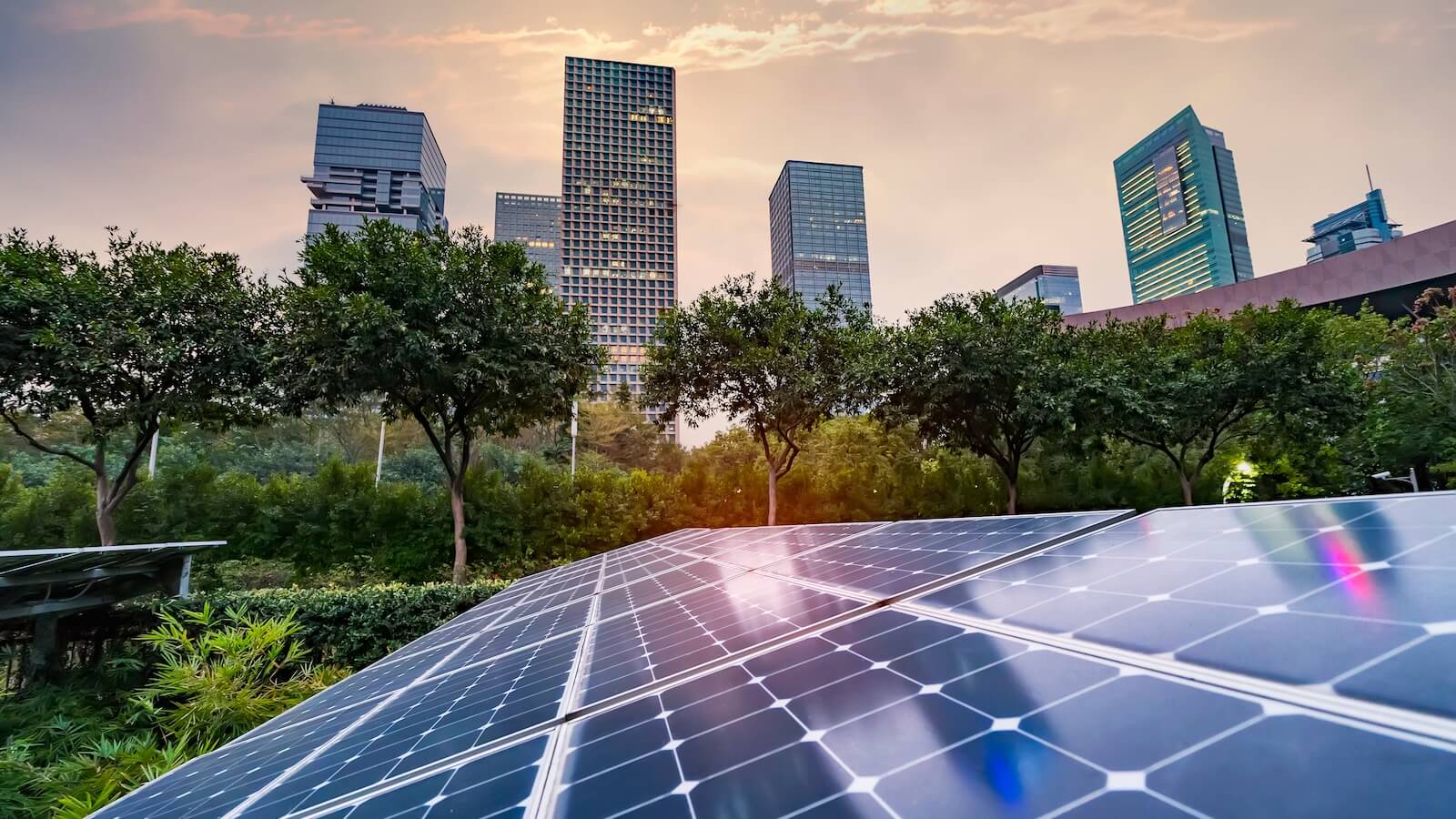 Solar panels with city skyline in background