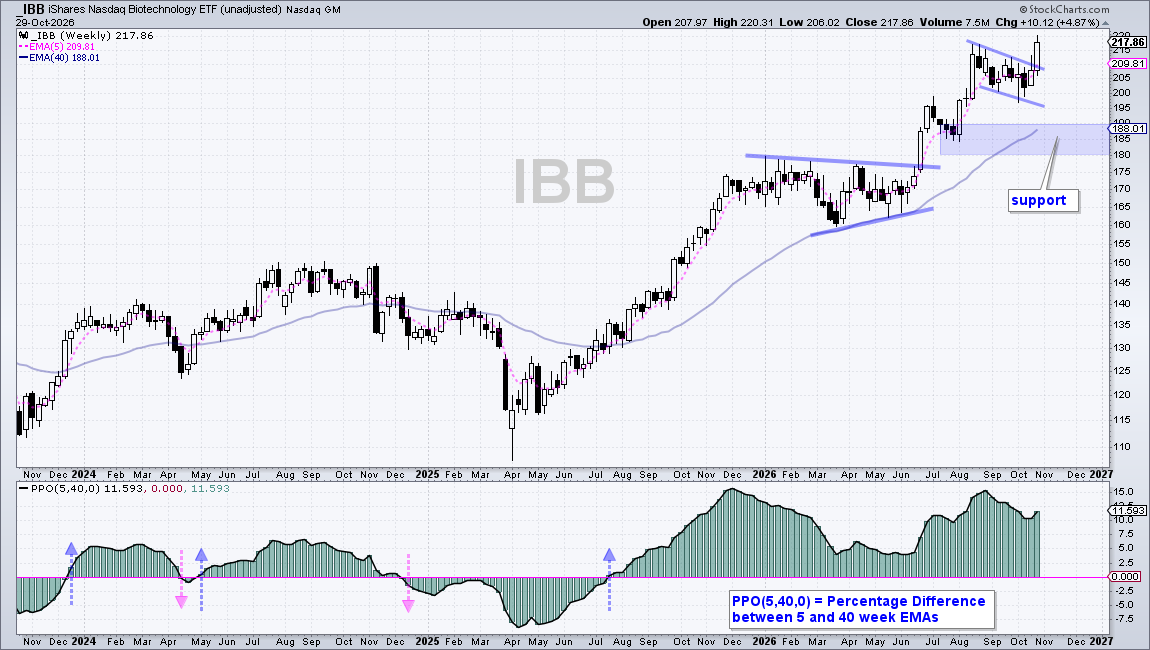 Weekly chart of IBB support level: positive PPO supports uptrend
