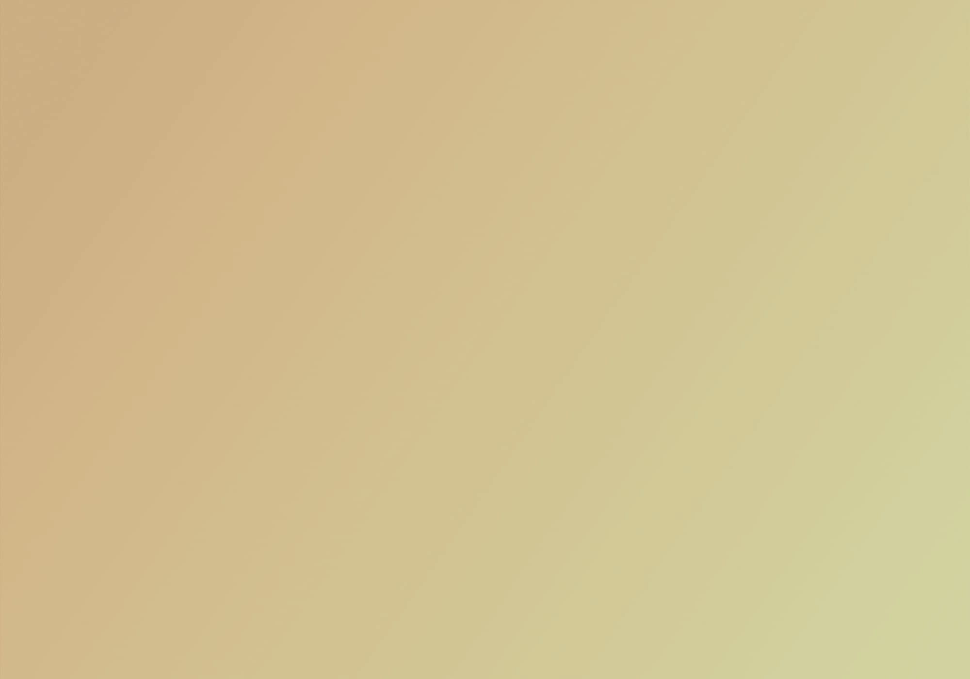 MARIA NOLAZCO MASSON