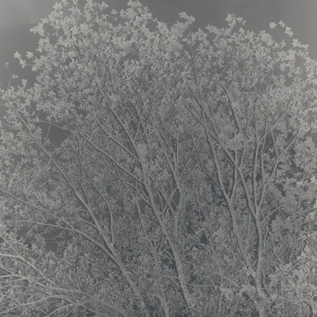 #16: Driving me backwards