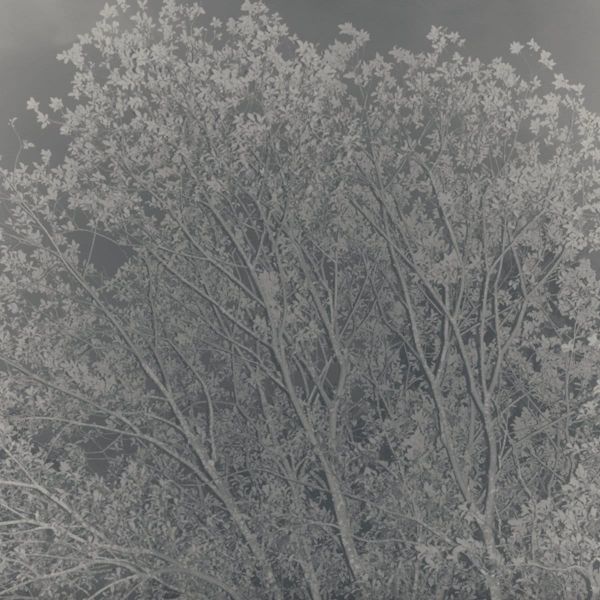 #16: Driving me backwards