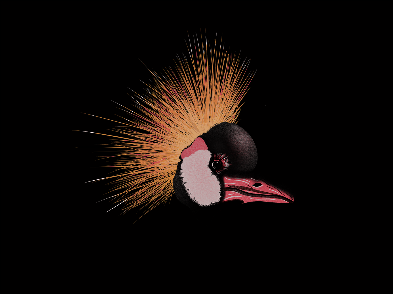 Accountability and Teamwork