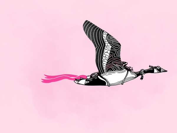 Introducing the New and Improved HelpDocs Chrome Extension