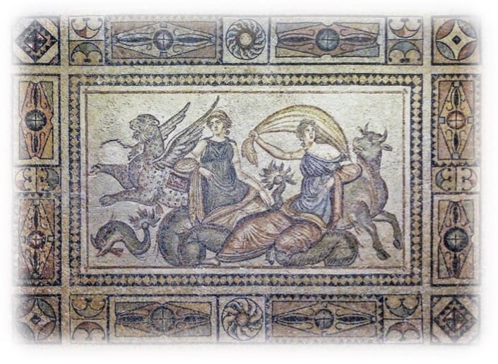 Competitiveness, Innovation  and Contract