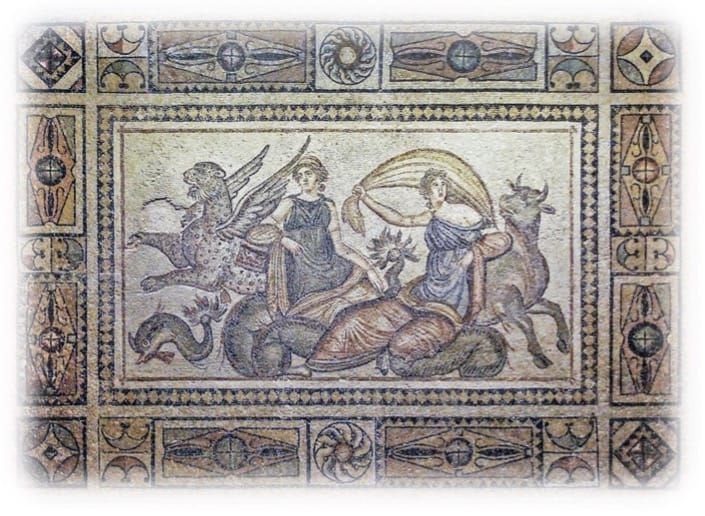 Competitiveness, Innovation  and Contract