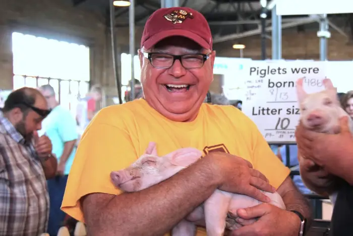 Minnesota Governor Tim Walz holding a piglet at the State Fair