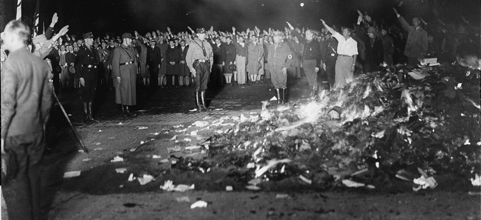 Nazis (I hate those guys) burning books taken from the Institute of Sexual Science on May 10, 1933