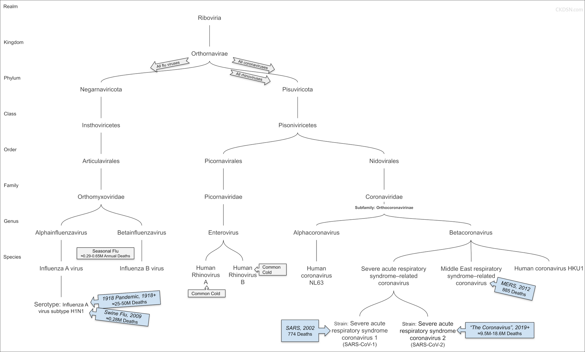 Virus-Taxonomy-HiRes-CKDSN