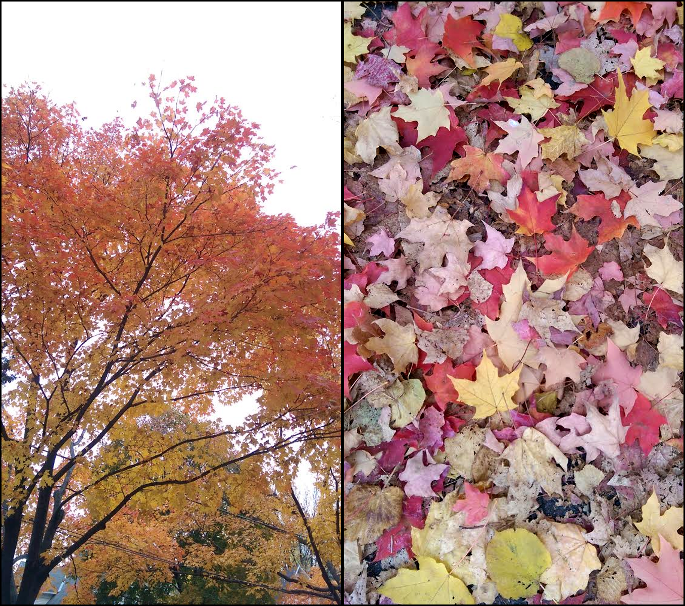 Projects and Updates, 2020-07-01