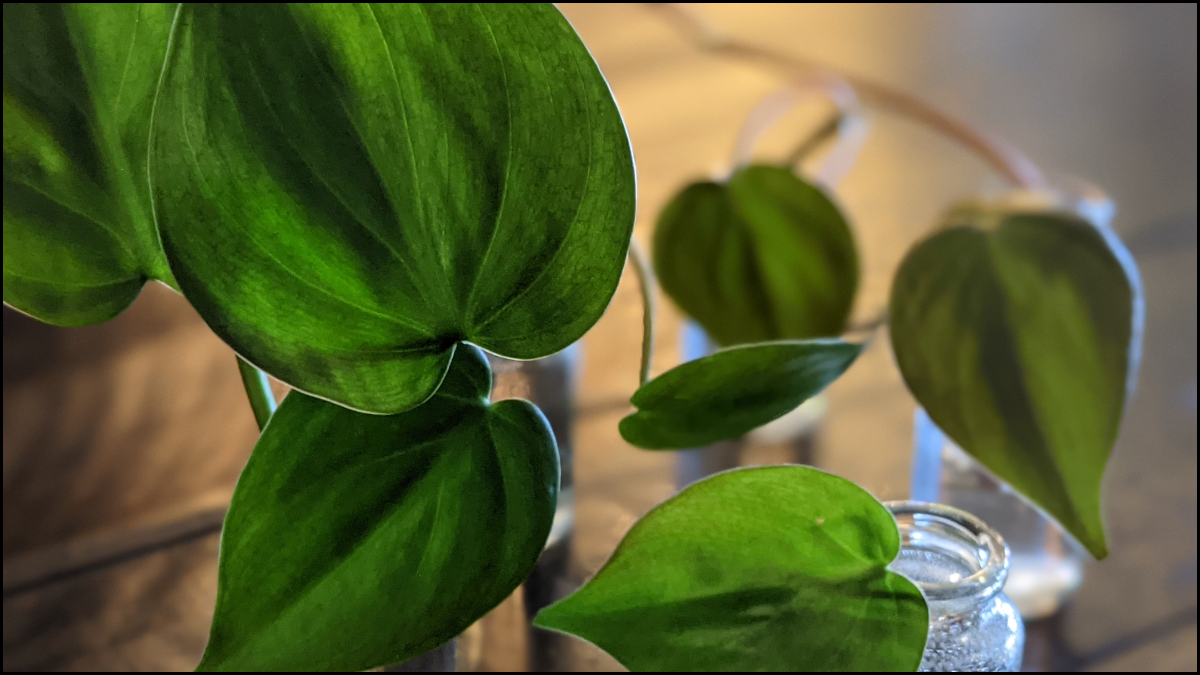 Projects and Updates, 2021Q1