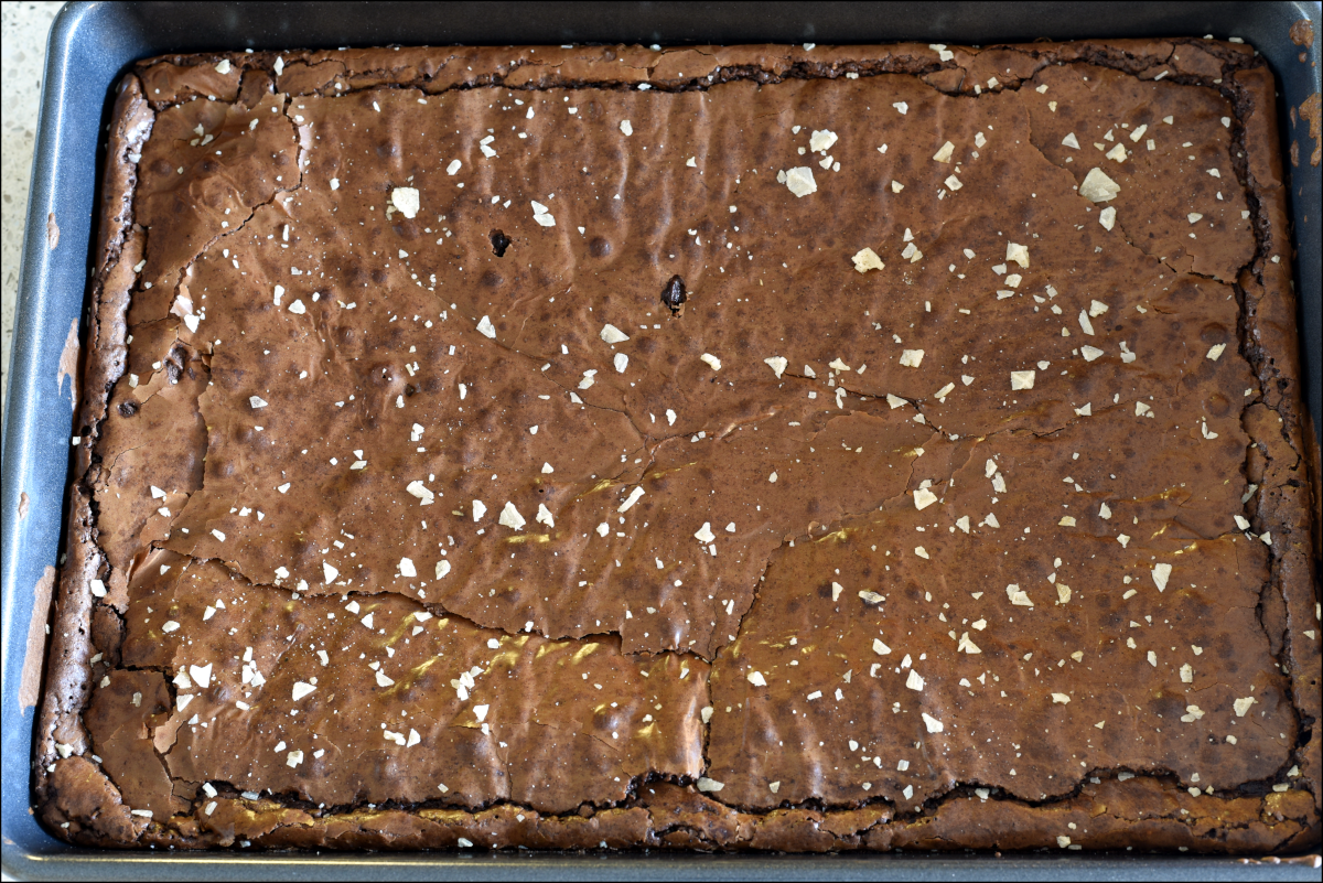 Projects and Updates, 2021Q2