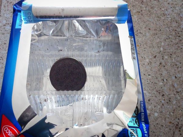 Projects and Updates, 2019-04-01