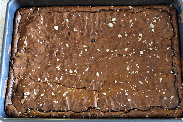 Projects and Updates, 2021Q2