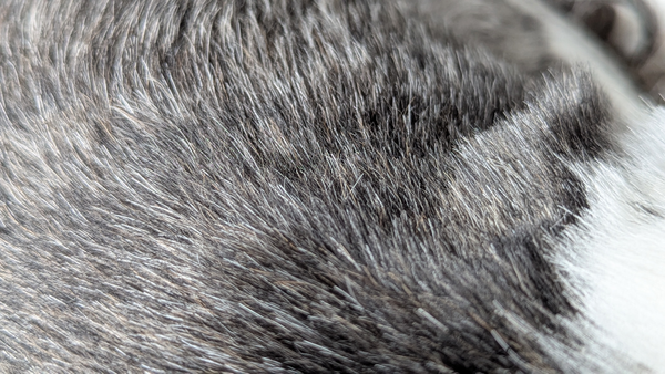 Projects and Updates, 2025Q3