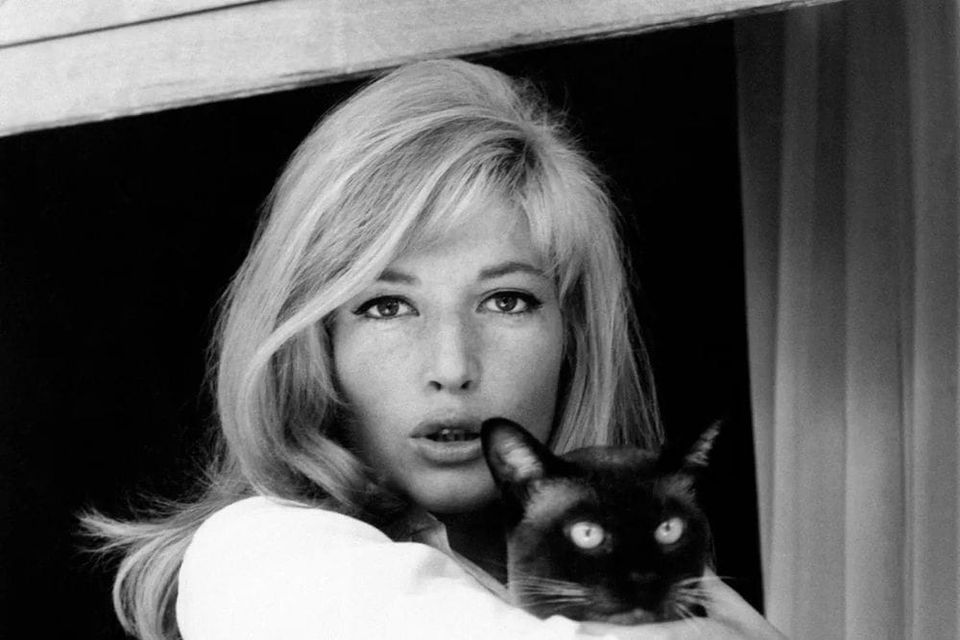 Thirty Favorite Images from Dispelling Beauty Lies