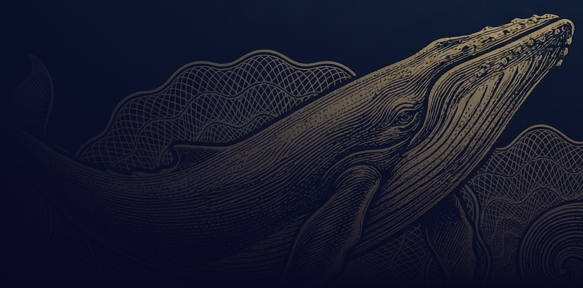 Whales Investing