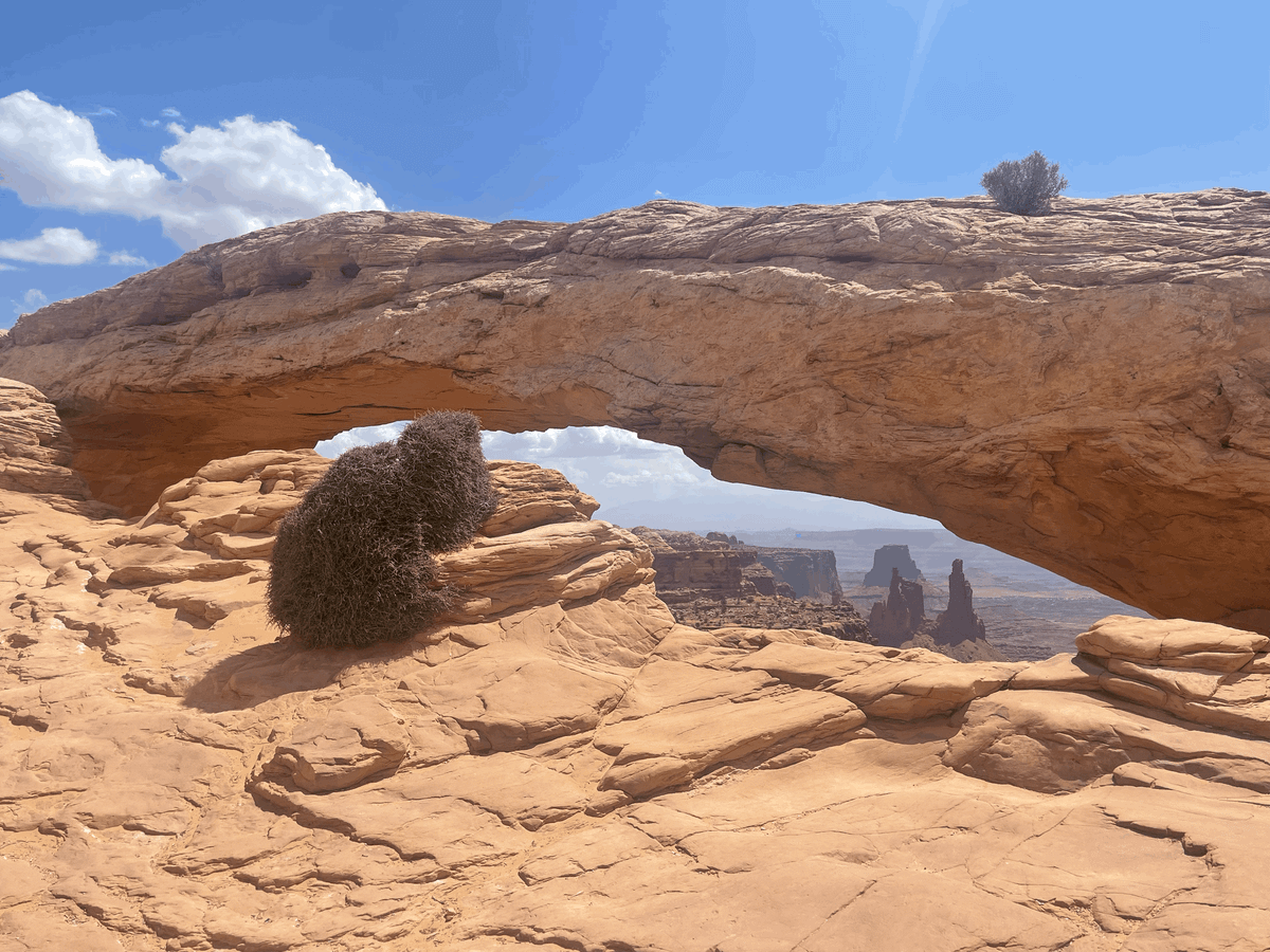 What's Bridges Ahead about?