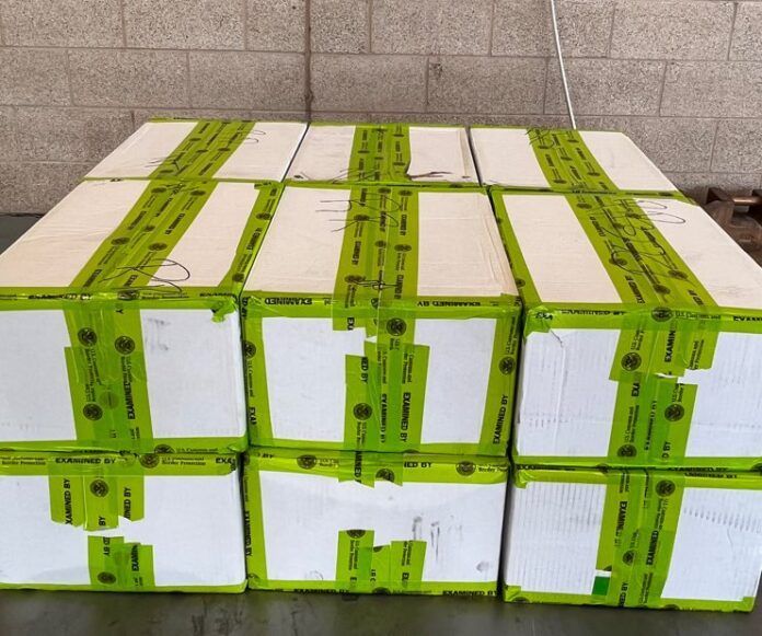 $4.3M Meth Bust in Texas Vegetable Shipment