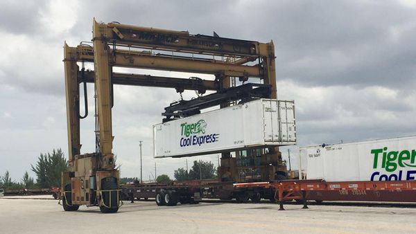 Tiger Cool Express Shuts Down Due to Falling Intermodal Demand