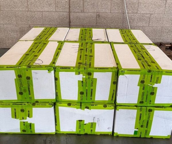 $4.3M Meth Bust in Texas Vegetable Shipment