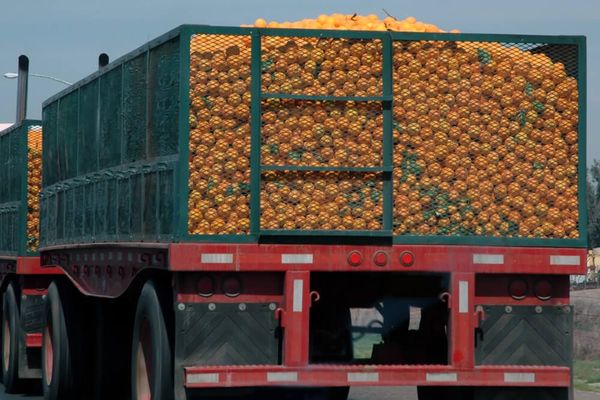 Florida's Trucking Downturn