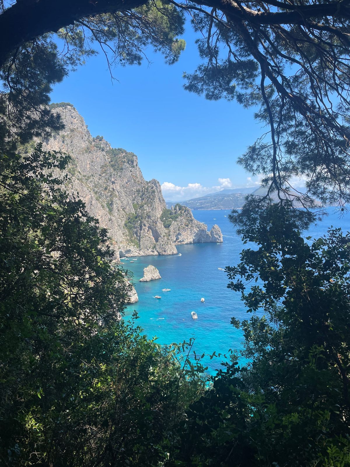 Amalfi Coast Flotilla: Culture & La Dolce Vita ⛵🍋🍷