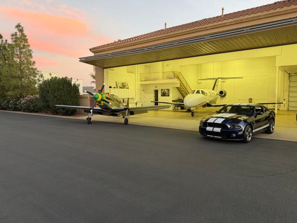 Mustang For Sale