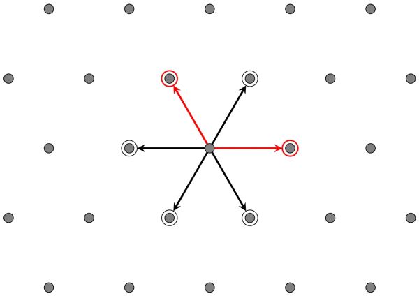 All About Root Systems