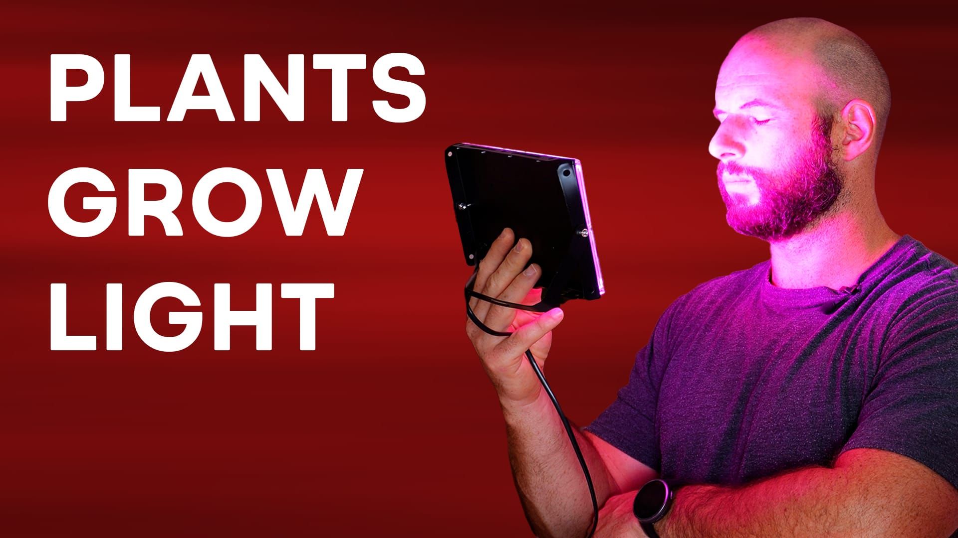 Using A $20 Grow Light For Red Light Therapy - Fact Or Fiction?