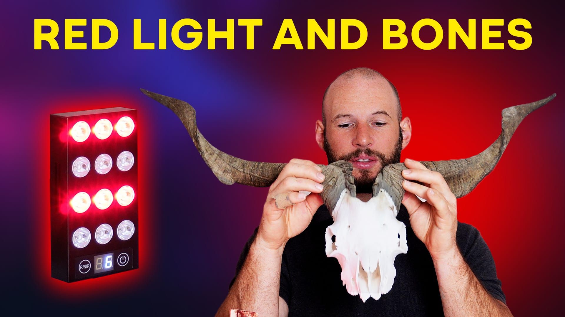 Red Light Therapy Bone Test: Does Light Penetrate Skull and Bone?