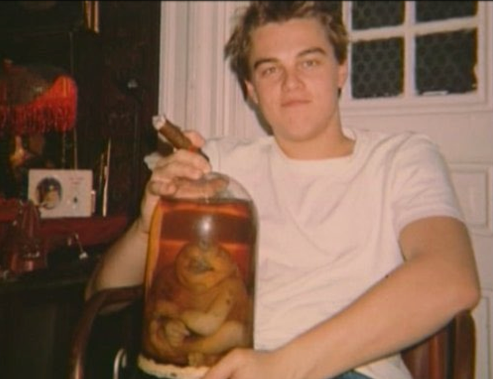 DiCaprio x Epstein : révélations troublantes