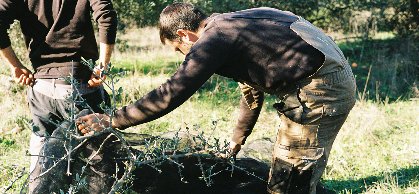 Spain's Lithium Mining Bid Promises Jobs, but for Whom?