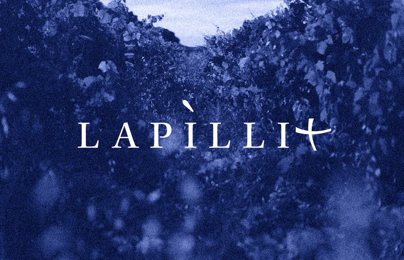 French Vintners Explore Ways to Adapt to Climate Change and New Market Demands