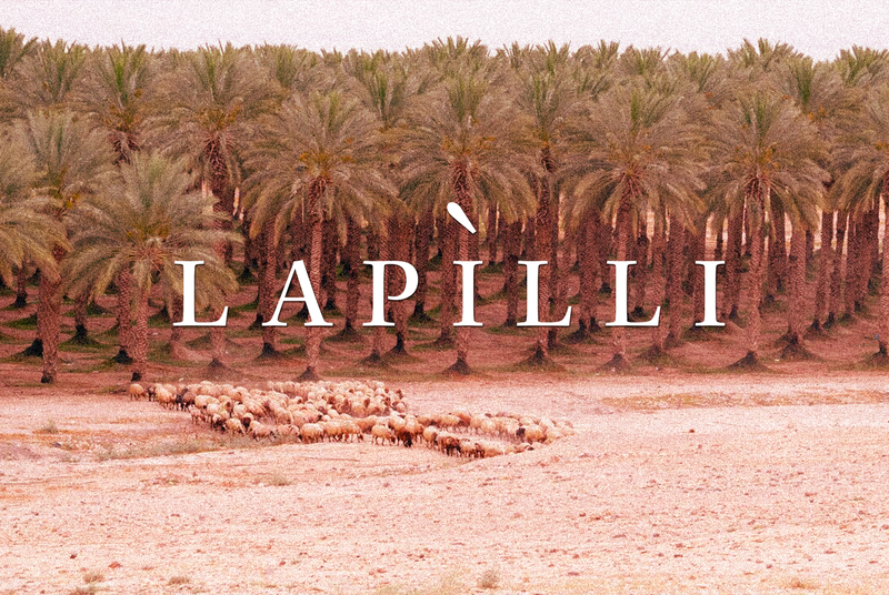 3/25: A Devastated Gaza, a New Generation of Shepherdesses, the Impacts of Water Scarcity on Marine Life
